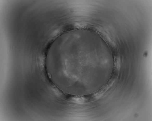 X0000102540712200808151643