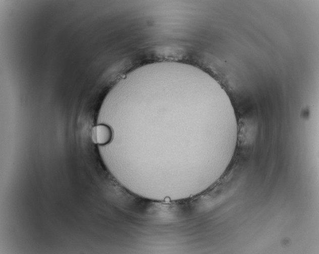 X0000102540713200808151643