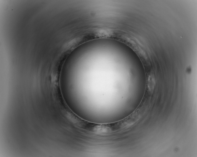 X0000102540714200808151643