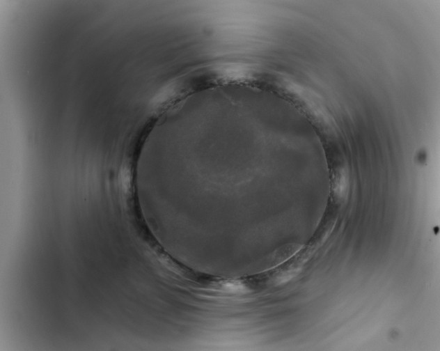 X0000102540715200808151643