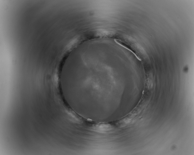 X0000102540716200808151642