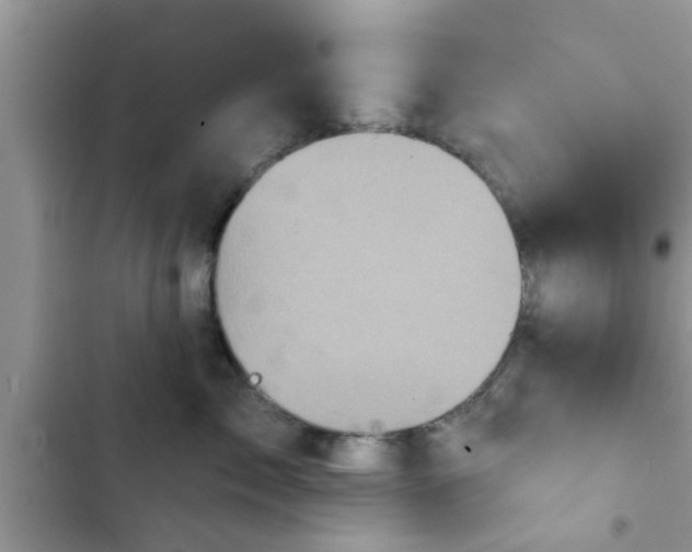 X0000102540717200808151642
