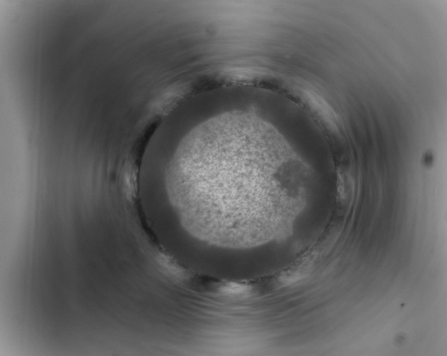 X0000102540718200808151642