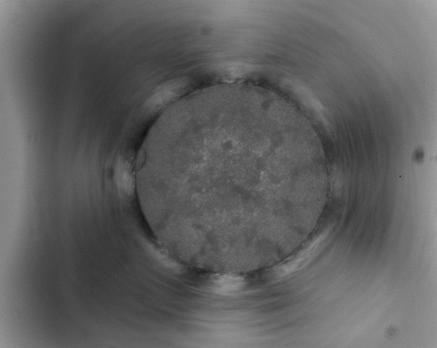 X0000102540719200808151642