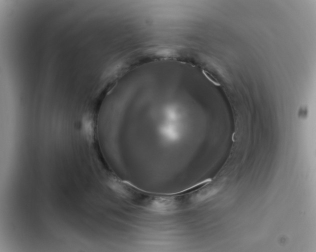 X0000102540720200808151642