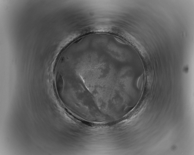 X0000102540721200808151642