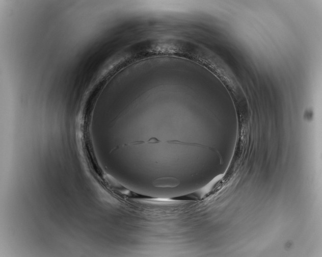 X0000102540722200808151642