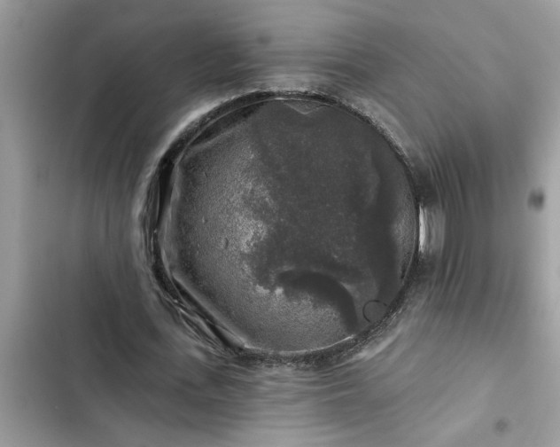X0000102540723200808151642
