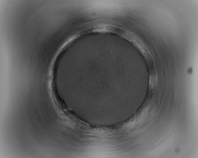 X0000102540724200808151642