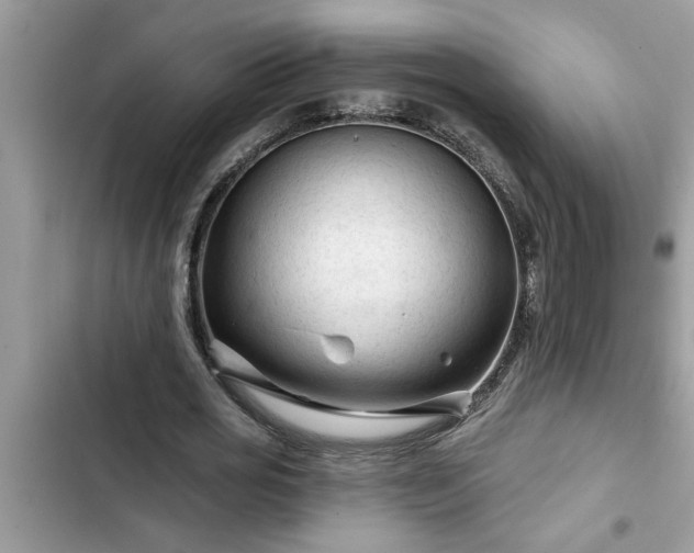 X0000102540725200808151642