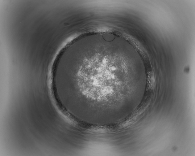 X0000102540726200808151642