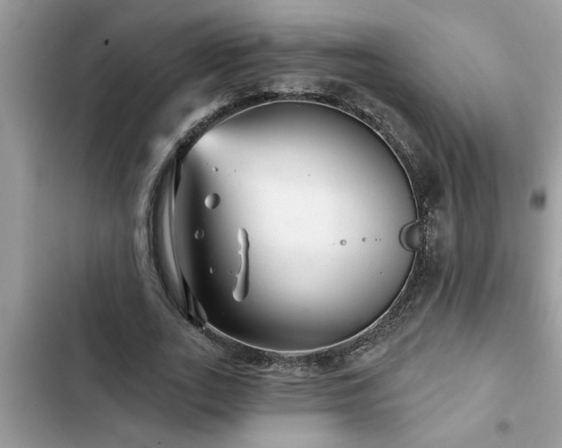 X0000102540727200808151642