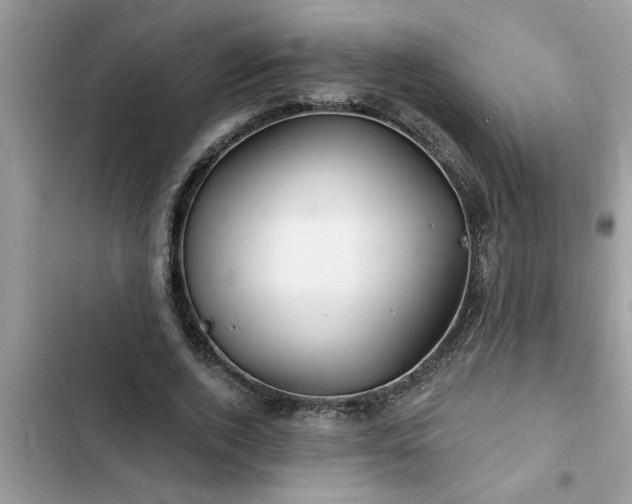 X0000102540728200808151642