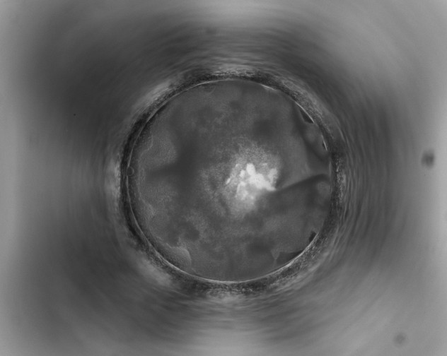 X0000102540729200808151642