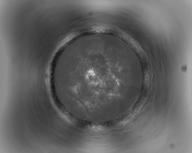 X0000102540730200808151642