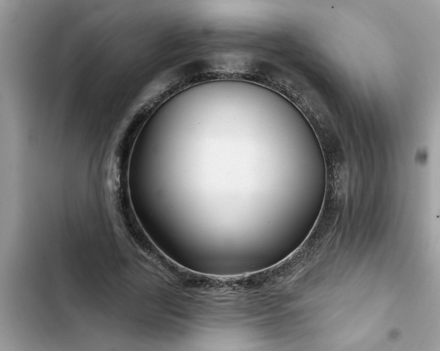 X0000102540731200808151642