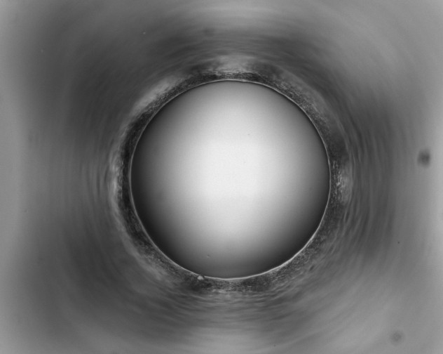 X0000102540732200808151642