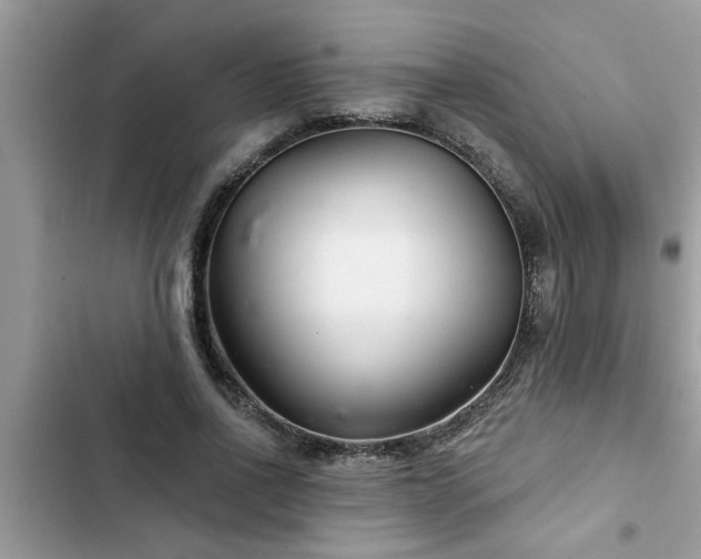 X0000102540734200808151642