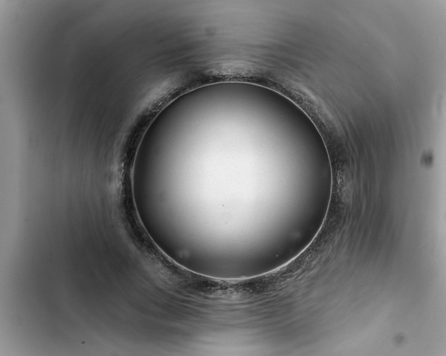 X0000102540735200808151642