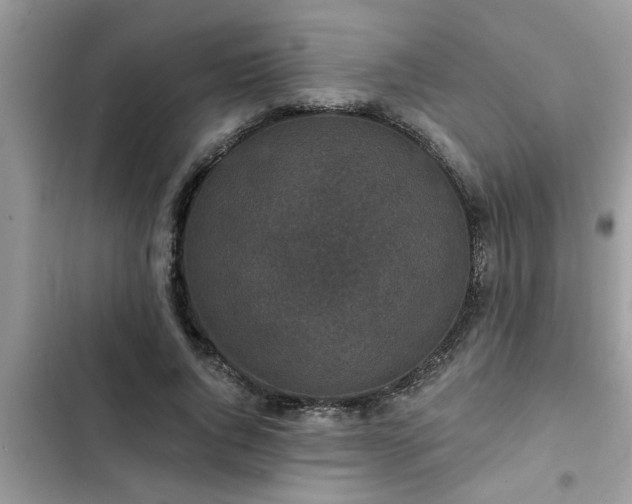 X0000102540736200808151642