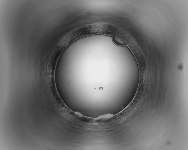 X0000102540737200808151642
