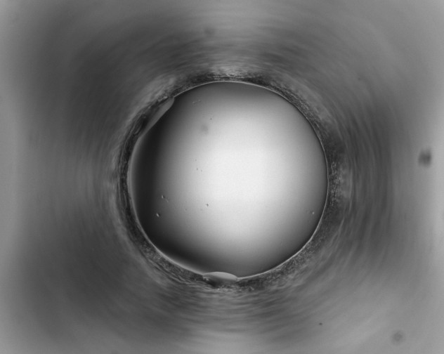X0000102540738200808151642