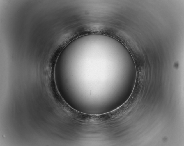 X0000102540739200808151642