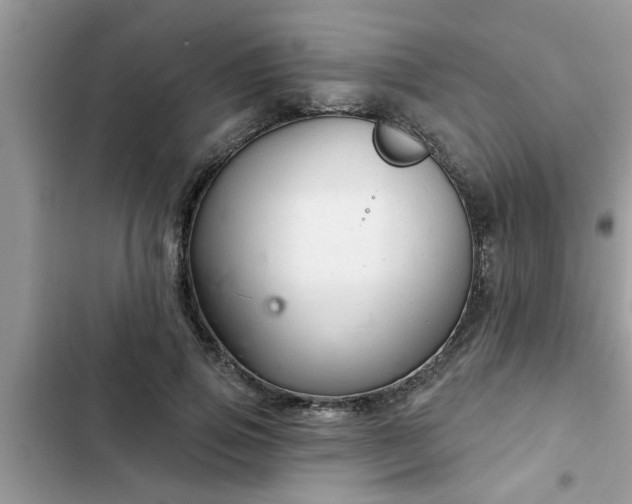 X0000102540741200808151642