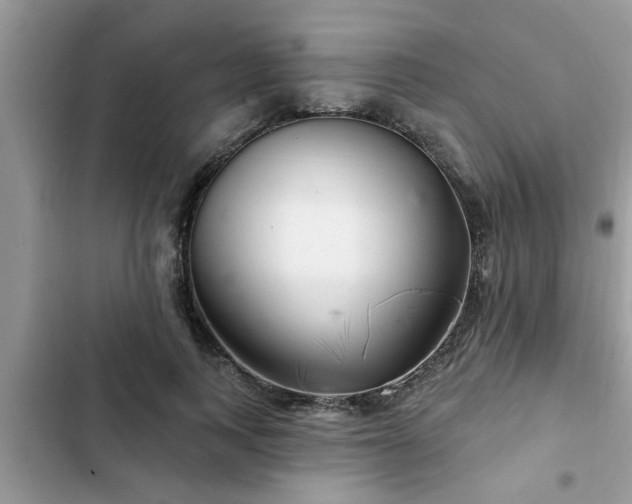 X0000102540743200808151642
