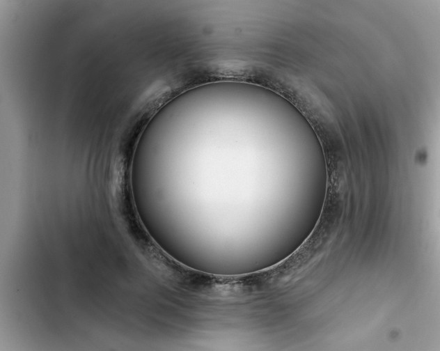 X0000102540744200808151642