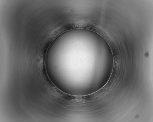 X0000102540745200808151642