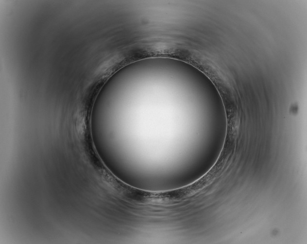 X0000102540746200808151642