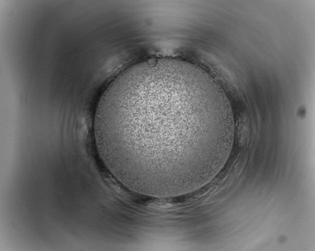 X0000102540747200808151642