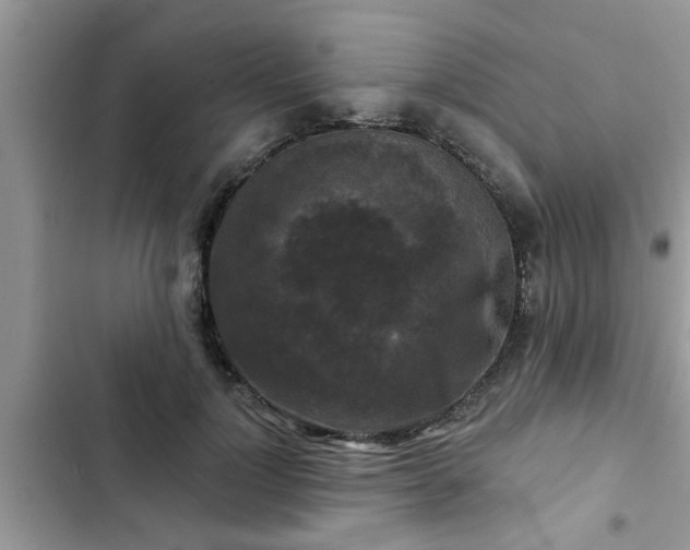 X0000102540748200808151642