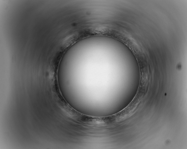 X0000102540749200808151642