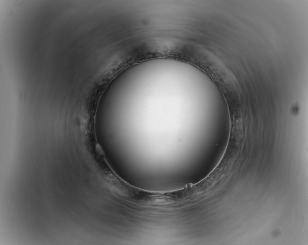 X0000102540750200808151642