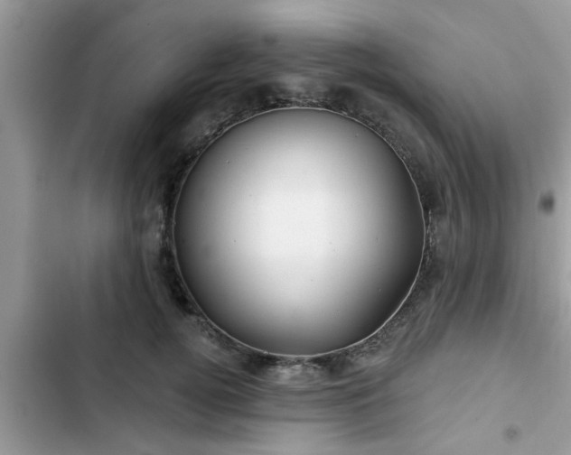 X0000102540752200808151642