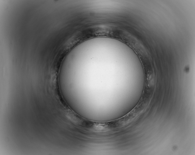 X0000102540753200808151642