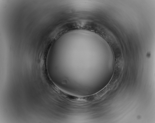 X0000102540754200808151642