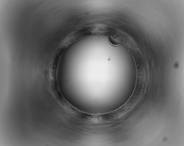 X0000102540755200808151642