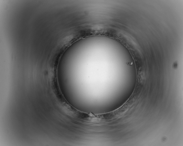 X0000102540756200808151642