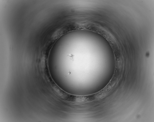 X0000102540757200808151642