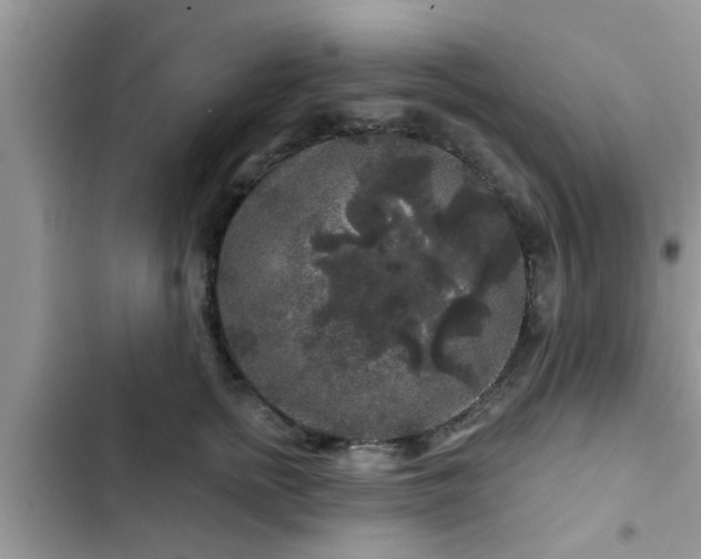 X0000102540758200808151642