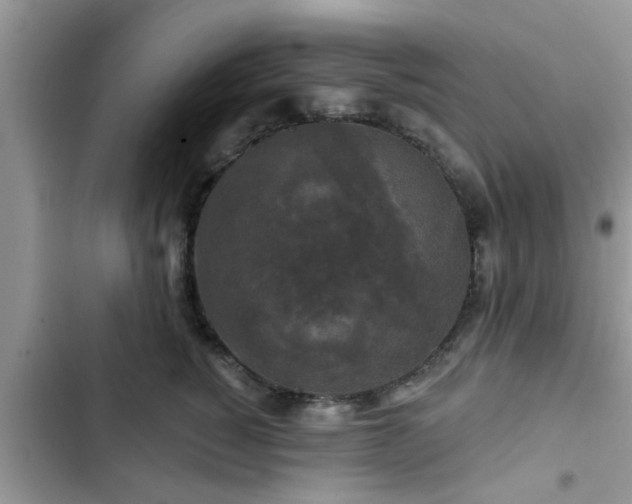 X0000102540760200808151642