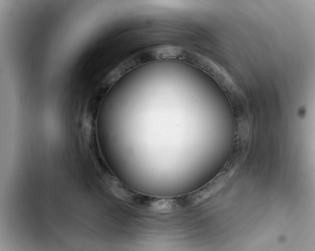 X0000102540761200808151642