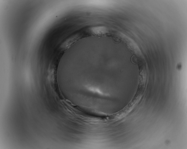X0000102540762200808151642