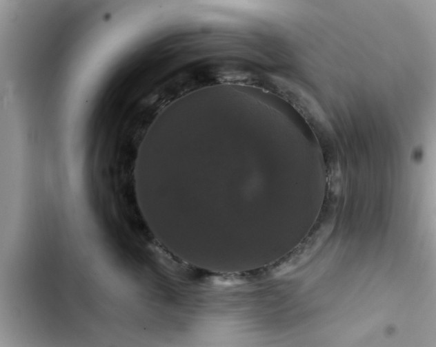 X0000102540763200808151642