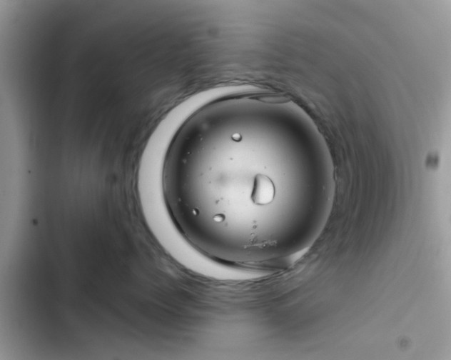 X0000102540768200808151642