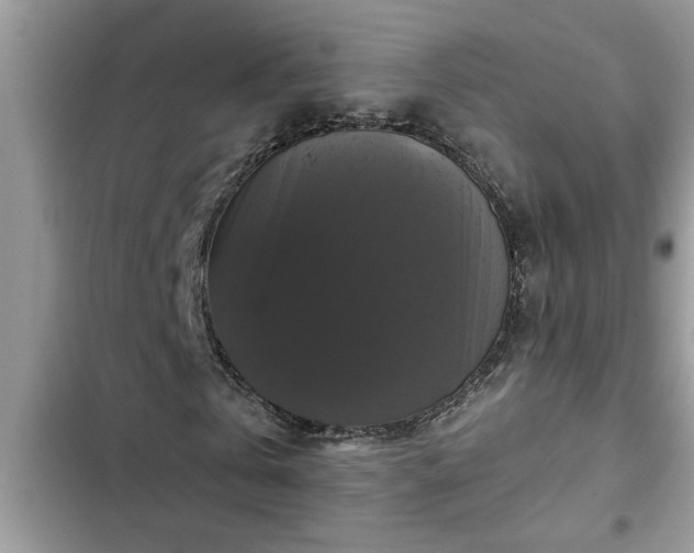 X0000102540769200808151642