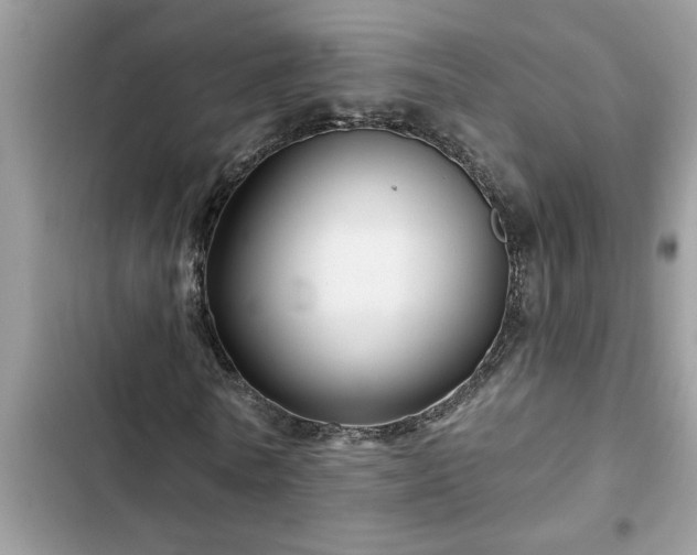 X0000102540770200808151642